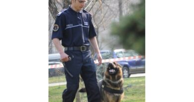 Poliția Vaslui angajează conductor câini